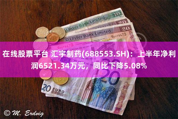 在线股票平台 汇宇制药(688553.SH)：上半年净利润6521.34万元，同比下降5.08%