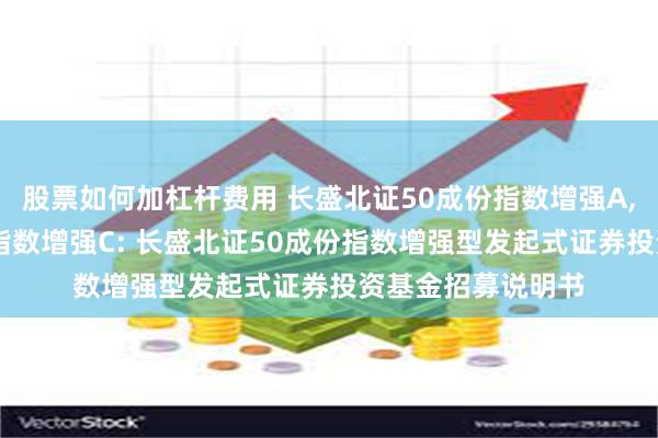 股票如何加杠杆费用 长盛北证50成份指数增强A,长盛北证50成份指数增强C: 长盛北证50成份指数增强型发起式证券投资基金招募说明书