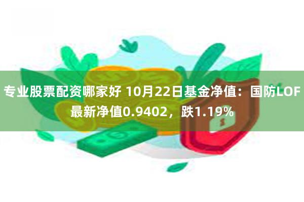 专业股票配资哪家好 10月22日基金净值：国防LOF最新净值0.9402，跌1.19%