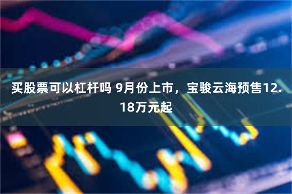 买股票可以杠杆吗 9月份上市，宝骏云海预售12.18万元起