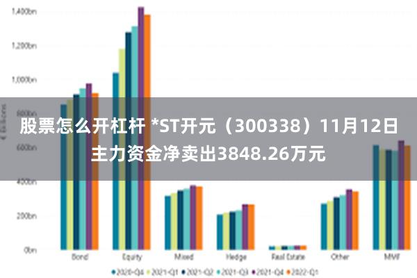 股票怎么开杠杆 *ST开元（300338）11月12日主力资金净卖出3848.26万元