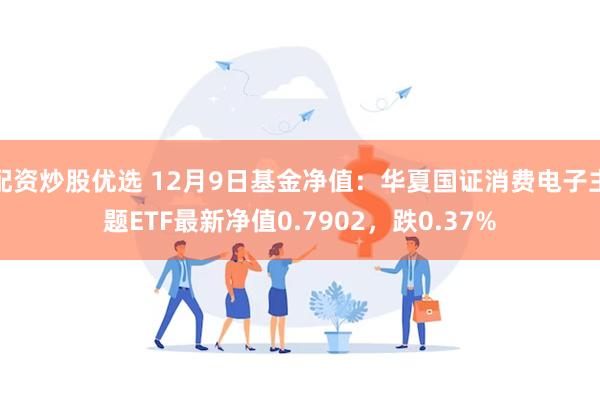 配资炒股优选 12月9日基金净值：华夏国证消费电子主题ETF最新净值0.7902，跌0.37%