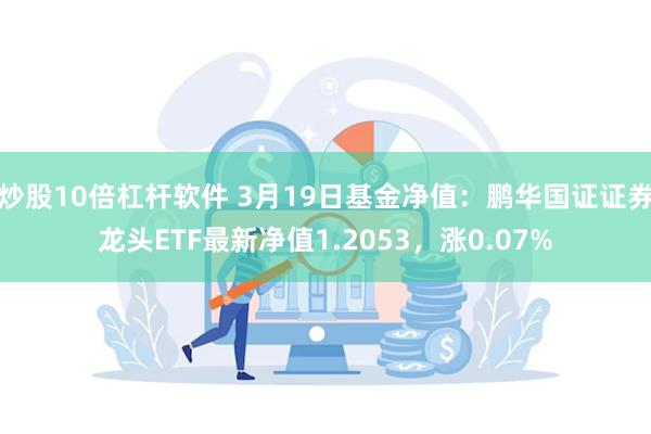 炒股10倍杠杆软件 3月19日基金净值：鹏华国证证券龙头ETF最新净值1.2053，涨0.07%