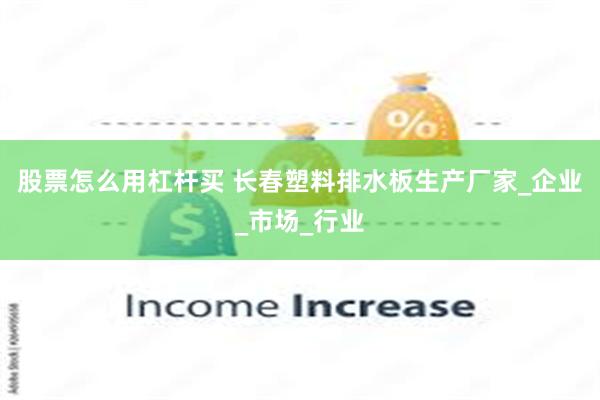 股票怎么用杠杆买 长春塑料排水板生产厂家_企业_市场_行业