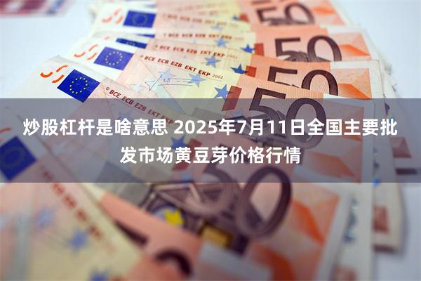 炒股杠杆是啥意思 2025年7月11日全国主要批发市场黄豆芽价格行情