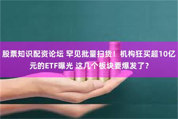 股票知识配资论坛 罕见批量扫货！机构狂买超10亿元的ETF曝光 这几个板块要爆发了？