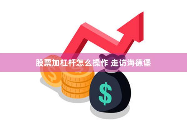 股票加杠杆怎么操作 走访海德堡